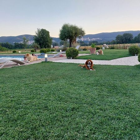 Agriturismo Tenuta Filippi Narni Exterior foto